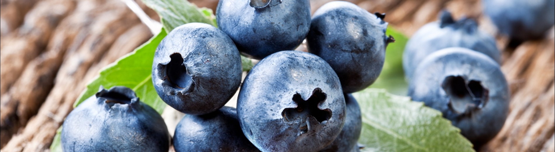 Level 2 Award in Food Safety