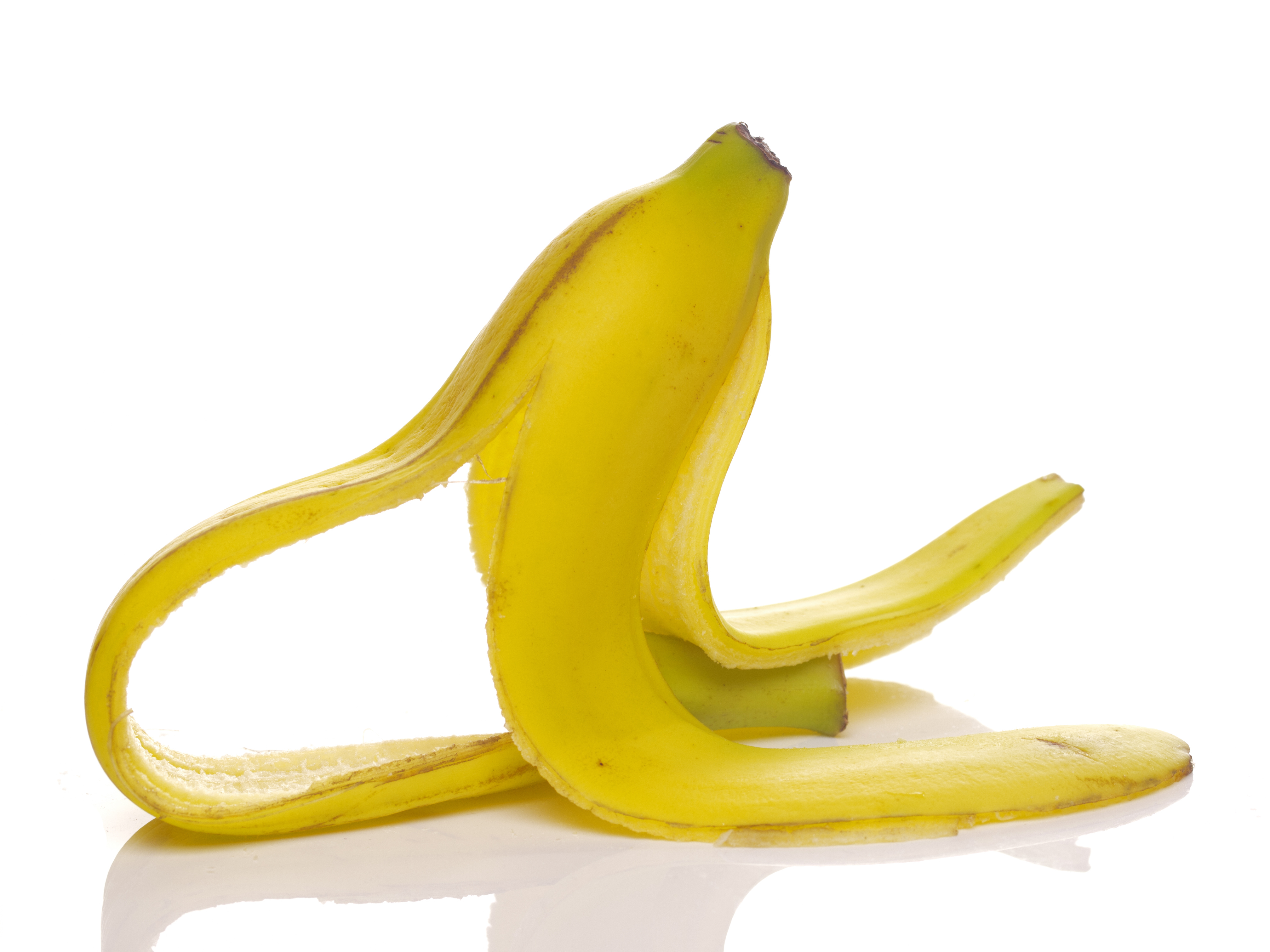 Basic Health and Safety