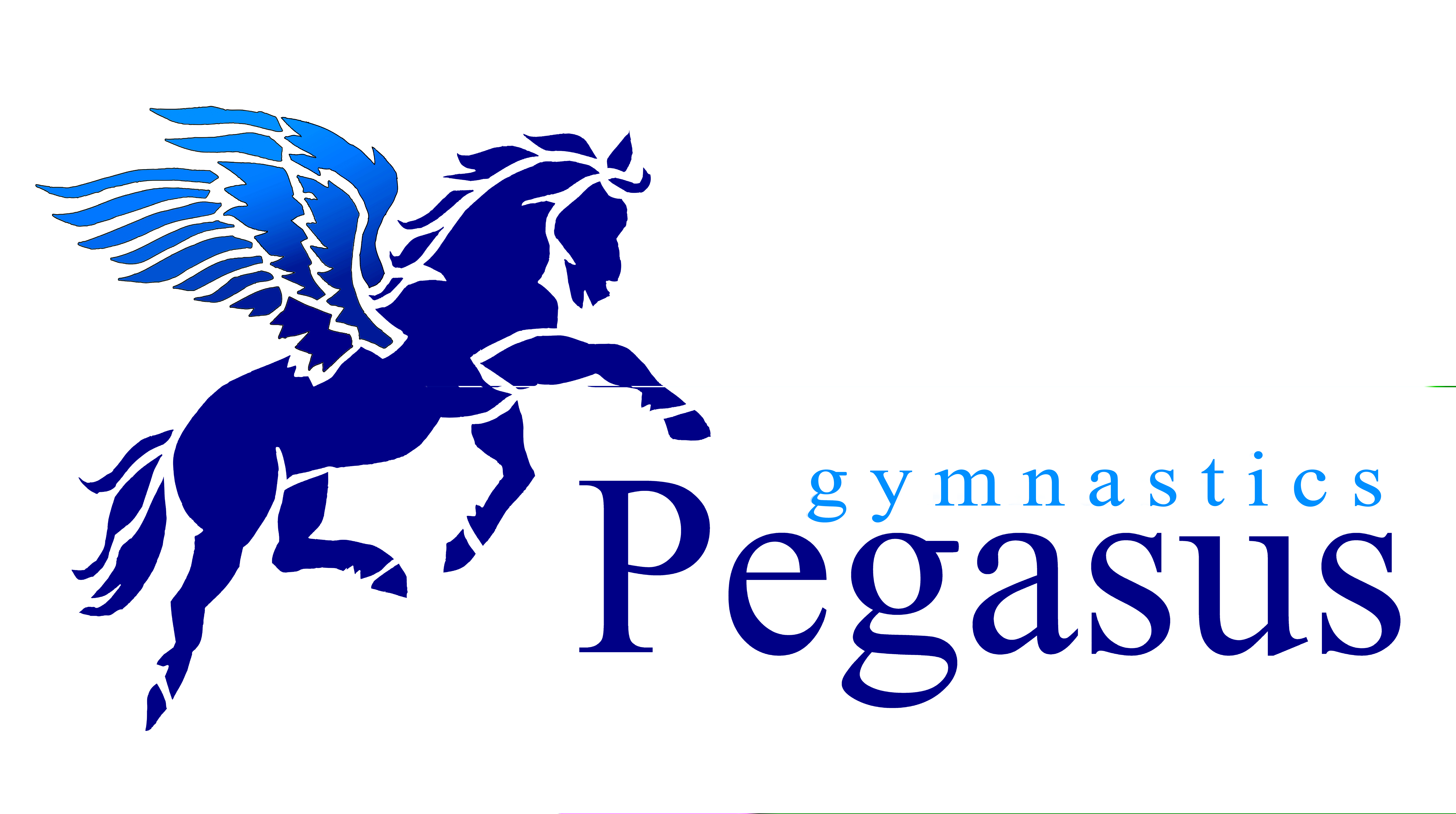 Pegasus Gymnastics