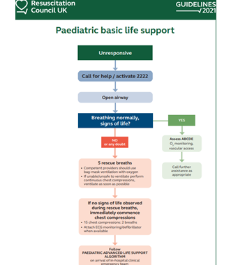 Paediatric Basic Life Support