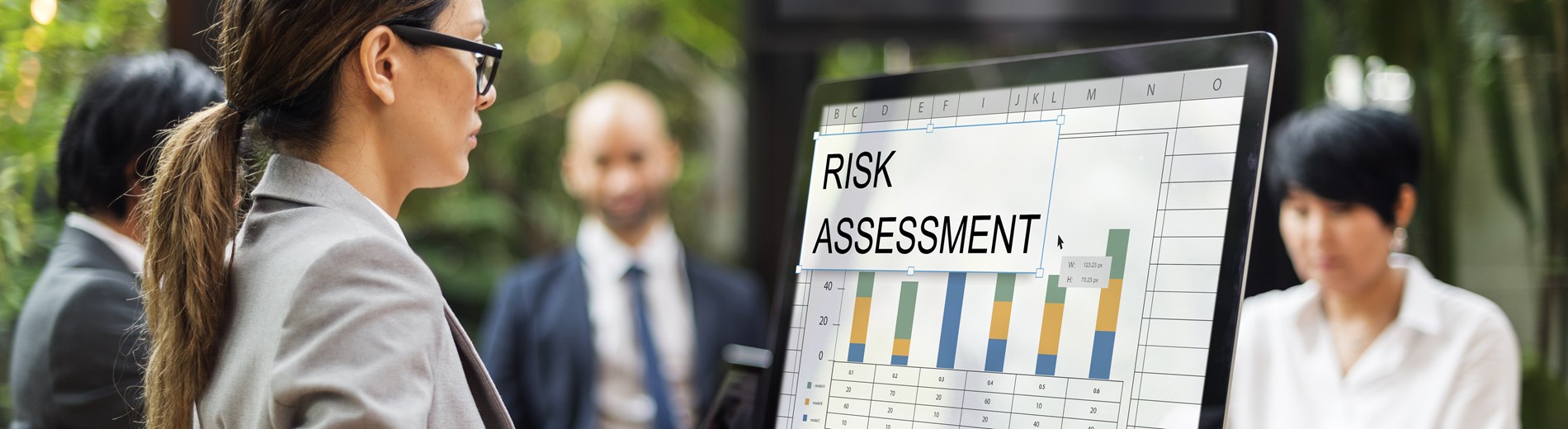 Online Introduction to Risk Assessment