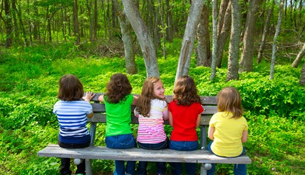 Forest School First Aid