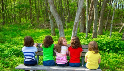 Forest School First Aid