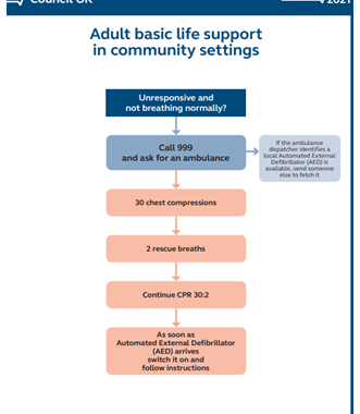 Adult Basic Life Support