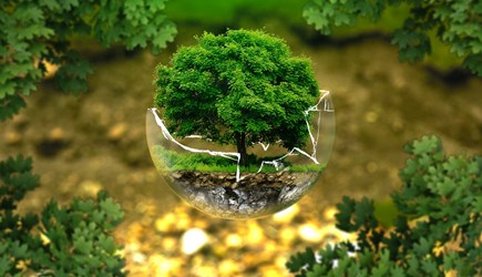 E Learning - Environmental Awareness