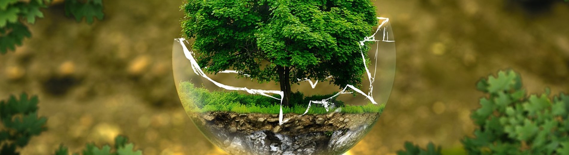 E Learning - Environmental Awareness